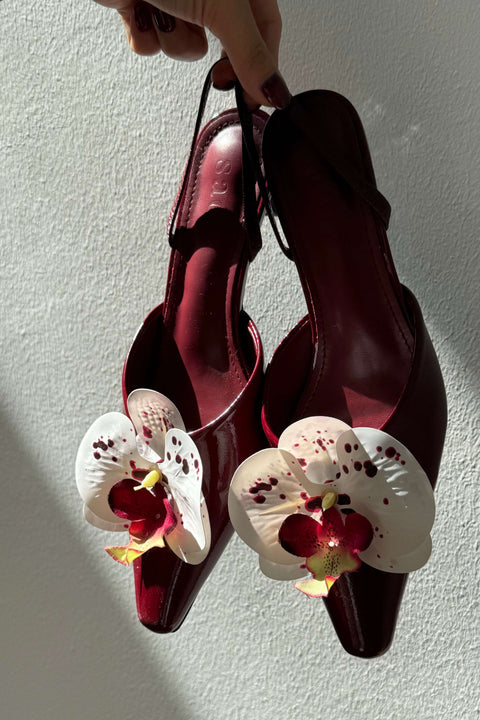 Lily Orchid Heels in Burgundy