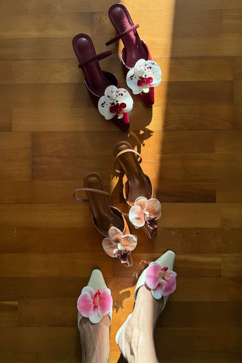Lily Orchid Heels in Burgundy